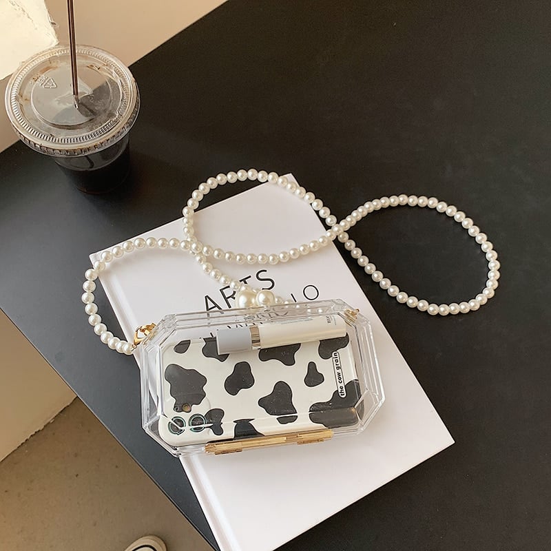 Transparent Acrylic Clutch