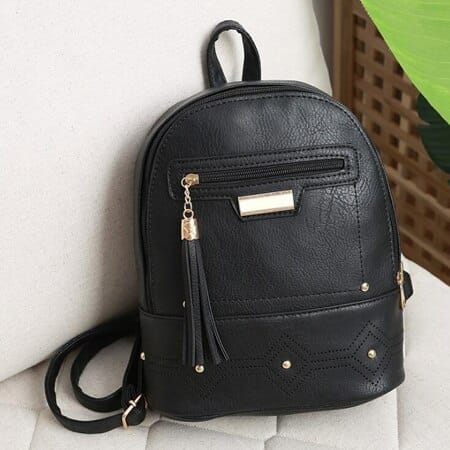 Small Ordinary Backpack