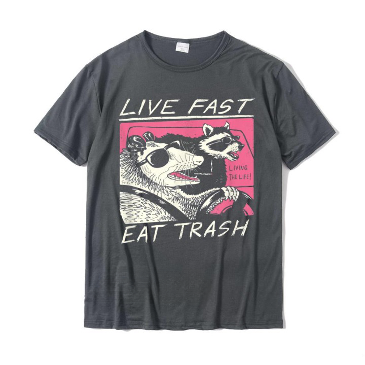 Mouse and Raccoon Graphic Cartoon T-Shirts - 3 Colors